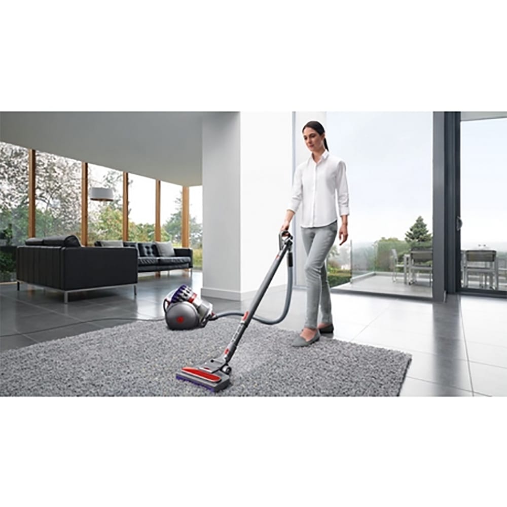 Dyson Big Ball Animal 2 Cylinder Vacuum Cleaner in Grey Dyson Big Ball Animal 2 Cylinder Vacuum Cleaner in Grey