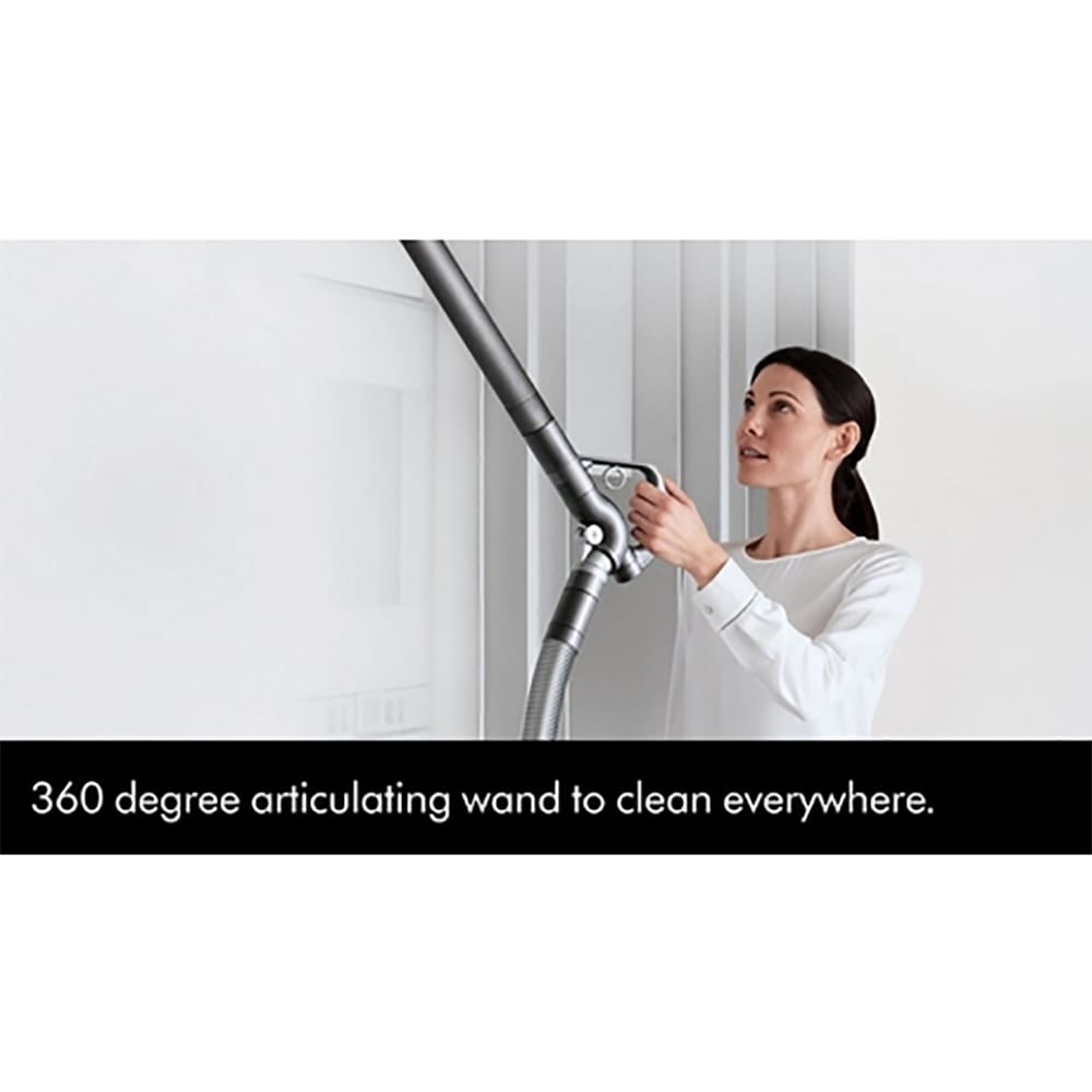 Dyson Big Ball Animal 2 Cylinder Vacuum Cleaner in Grey Dyson Big Ball Animal 2 Cylinder Vacuum Cleaner in Grey