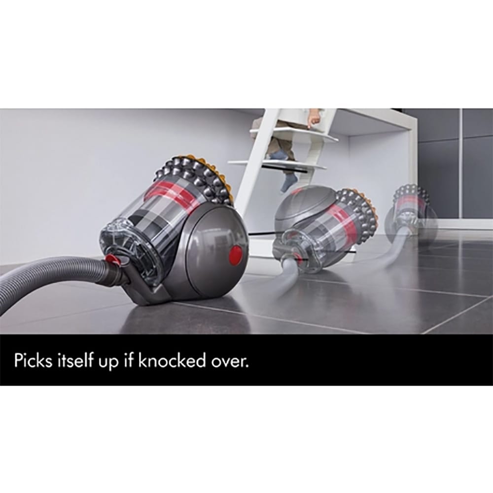 Dyson Big Ball Animal 2 Cylinder Vacuum Cleaner in Grey Dyson Big Ball Animal 2 Cylinder Vacuum Cleaner in Grey