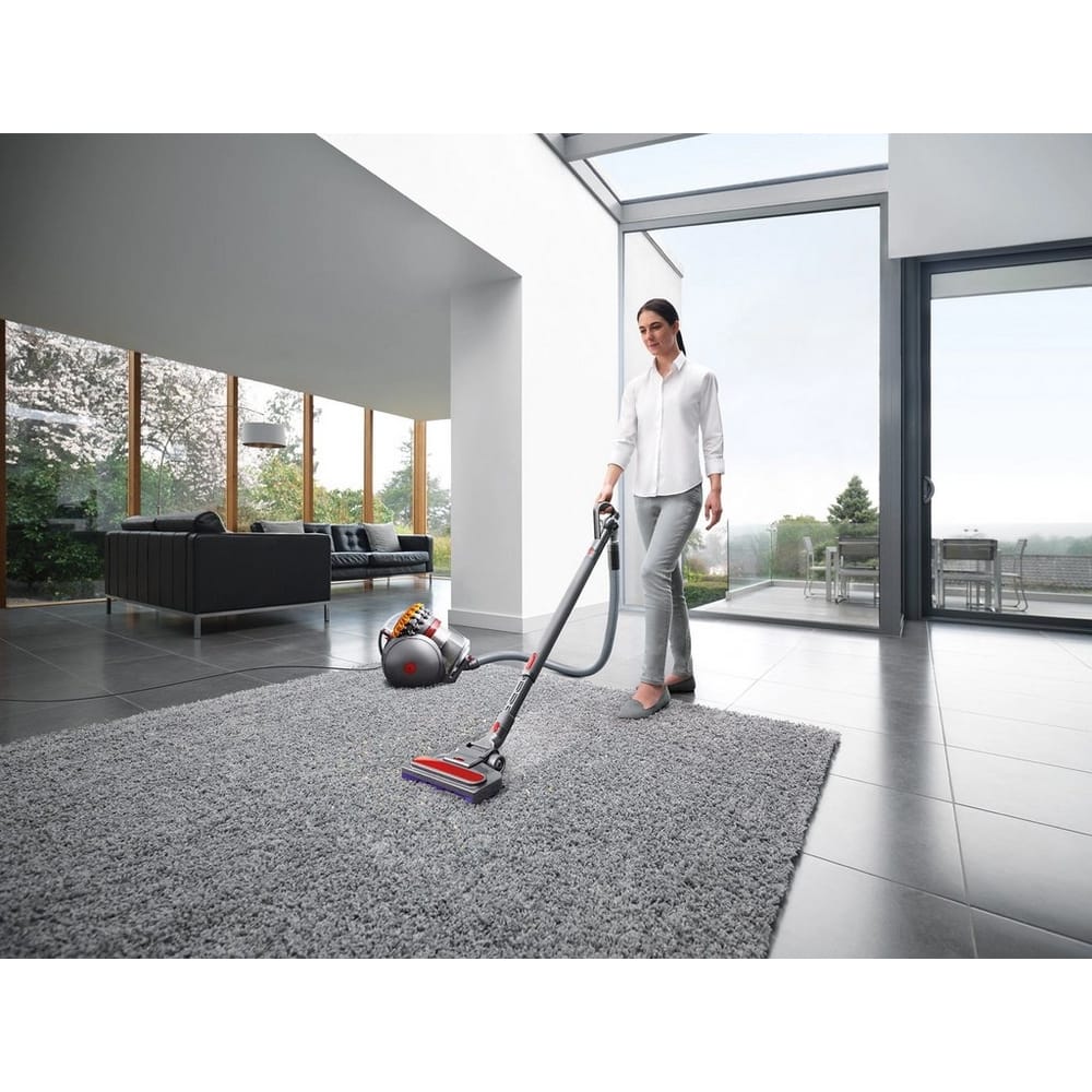 Dyson Big Ball Multifloor 2 Cylinder Vacuum Cleaner in Grey