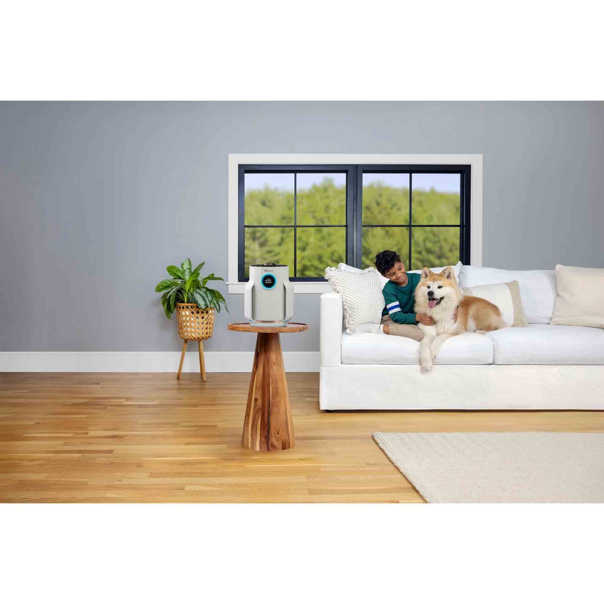 Shark NeverChange5 Air Purifier Compact Pro - HP072UK Shark NeverChange5 Air Purifier Compact Pro - HP072UK