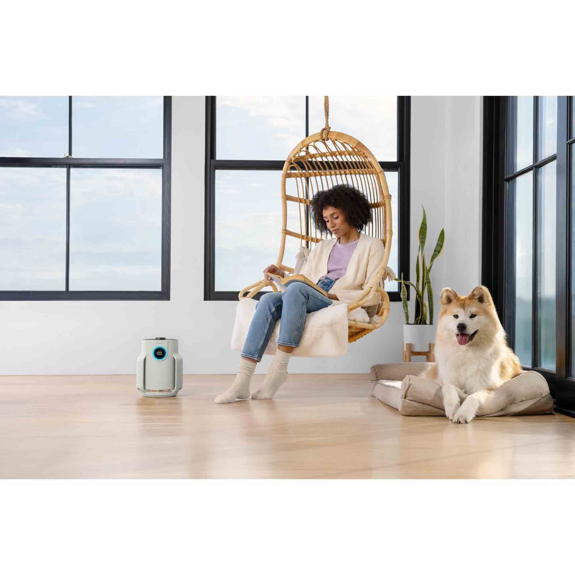 Shark NeverChange5 Air Purifier Compact Pro - HP072UK Shark NeverChange5 Air Purifier Compact Pro - HP072UK