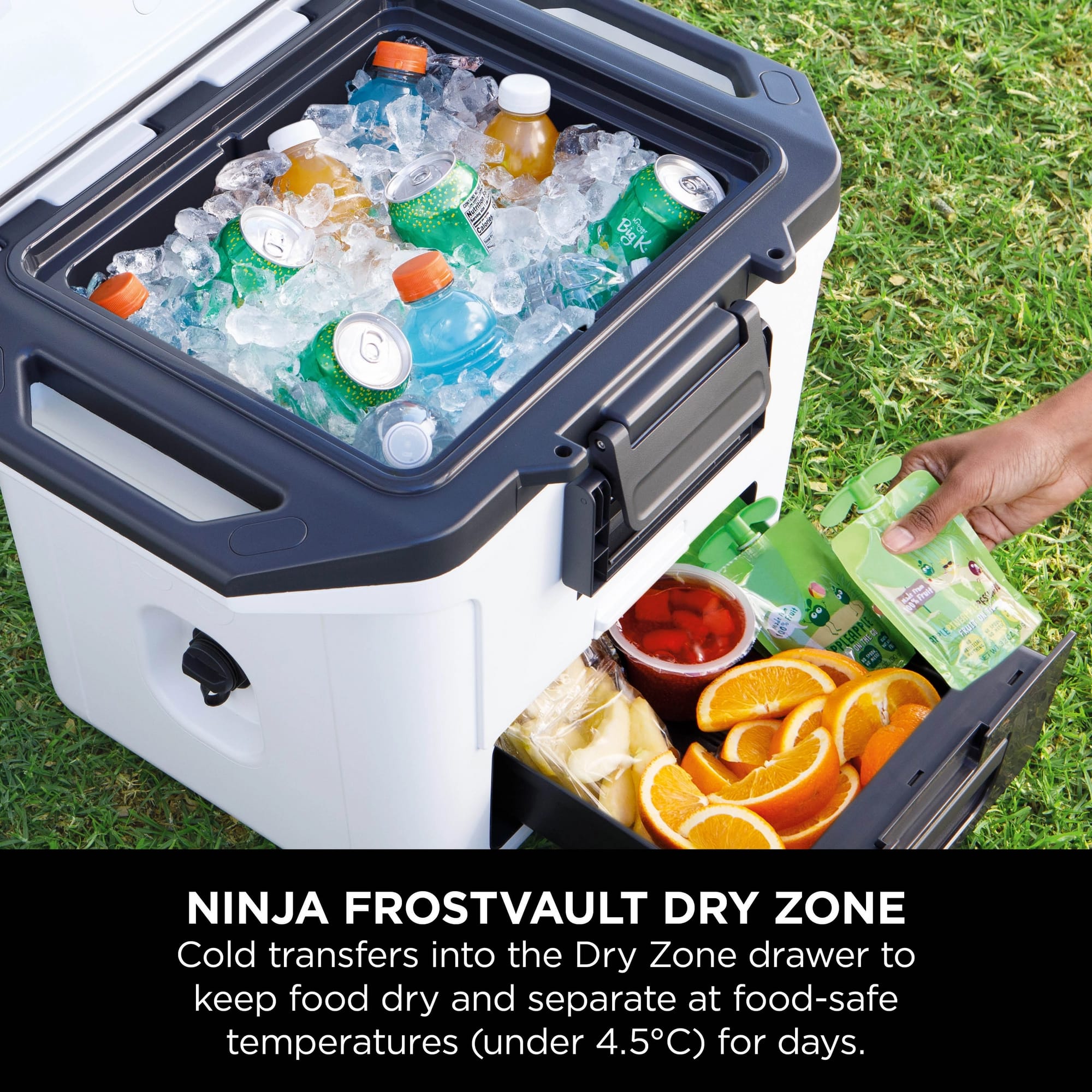 Ninja FrostVault 28L Hard Cooler with Dry Zone - Cloud White - FB131UKWH Ninja FrostVault 28L Hard Cooler with Dry Zone - Cloud White - FB131UKWH