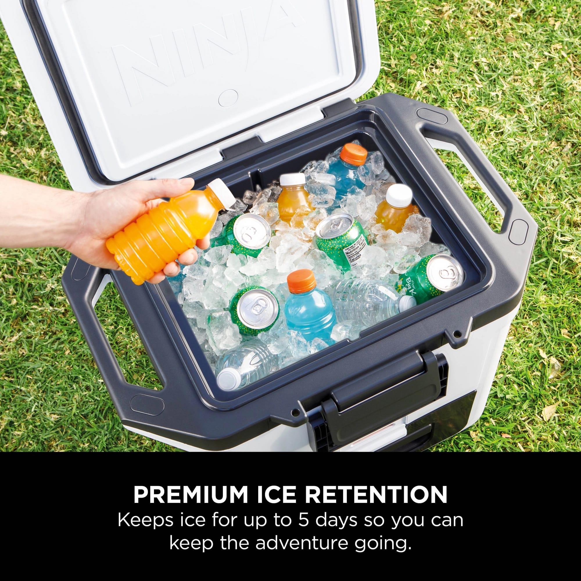 Ninja FrostVault 28L Hard Cooler with Dry Zone - Cloud White - FB131UKWH Ninja FrostVault 28L Hard Cooler with Dry Zone - Cloud White - FB131UKWH
