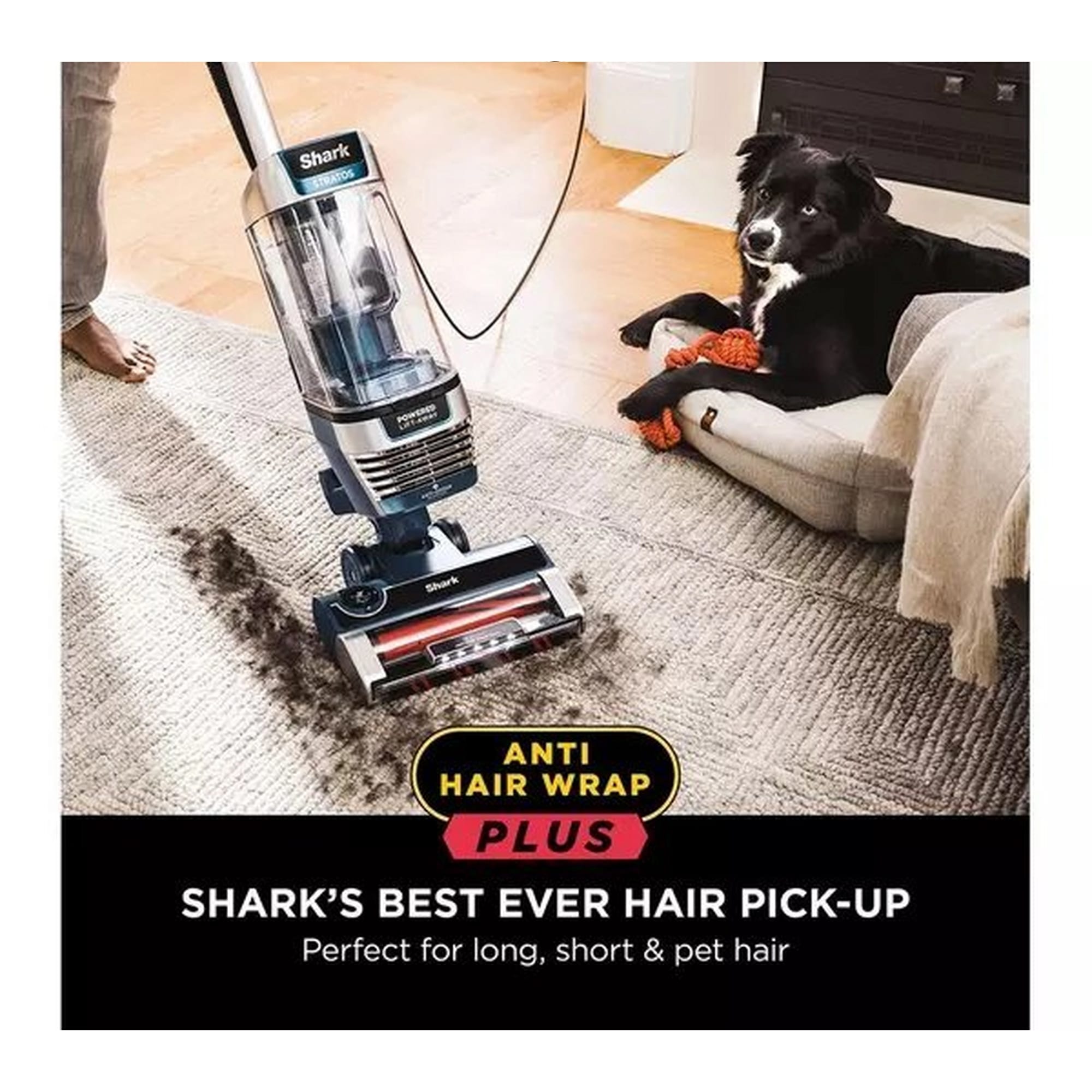 Shark Stratos XL Anti Hair Wrap Plus Anti-Odour Upright Vacuum - Navy Blue - AZ3000UKT Shark Stratos XL Anti Hair Wrap Plus Anti-Odour Upright Vacuum - Navy Blue - AZ3000UKT