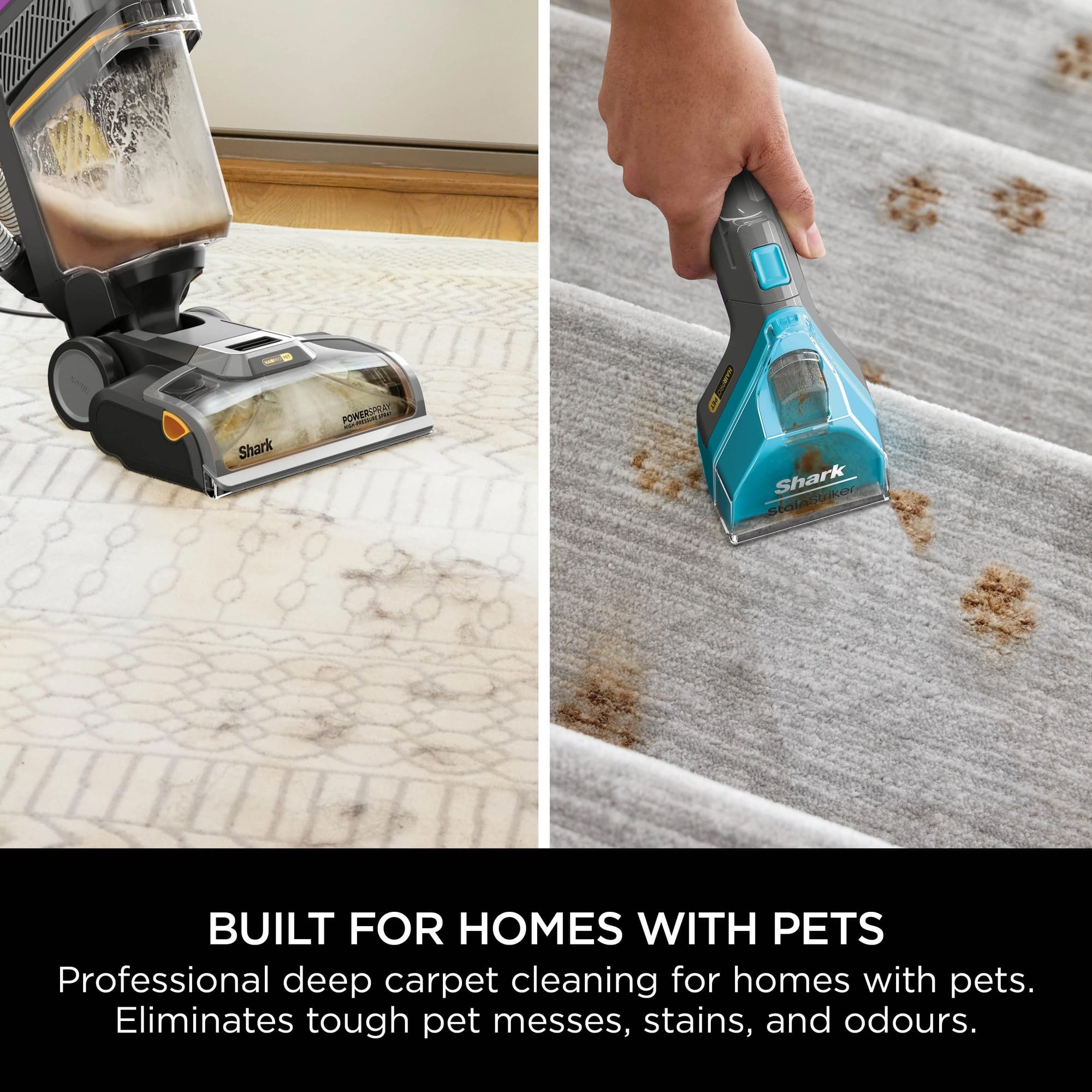 Shark CarpetXpert Carpet Cleaner with Built-In Stain Striker - Charcoal & Fuchsia - EX300UK Shark CarpetXpert Carpet Cleaner with Built-In Stain Striker - Charcoal & Fuchsia - EX300UK