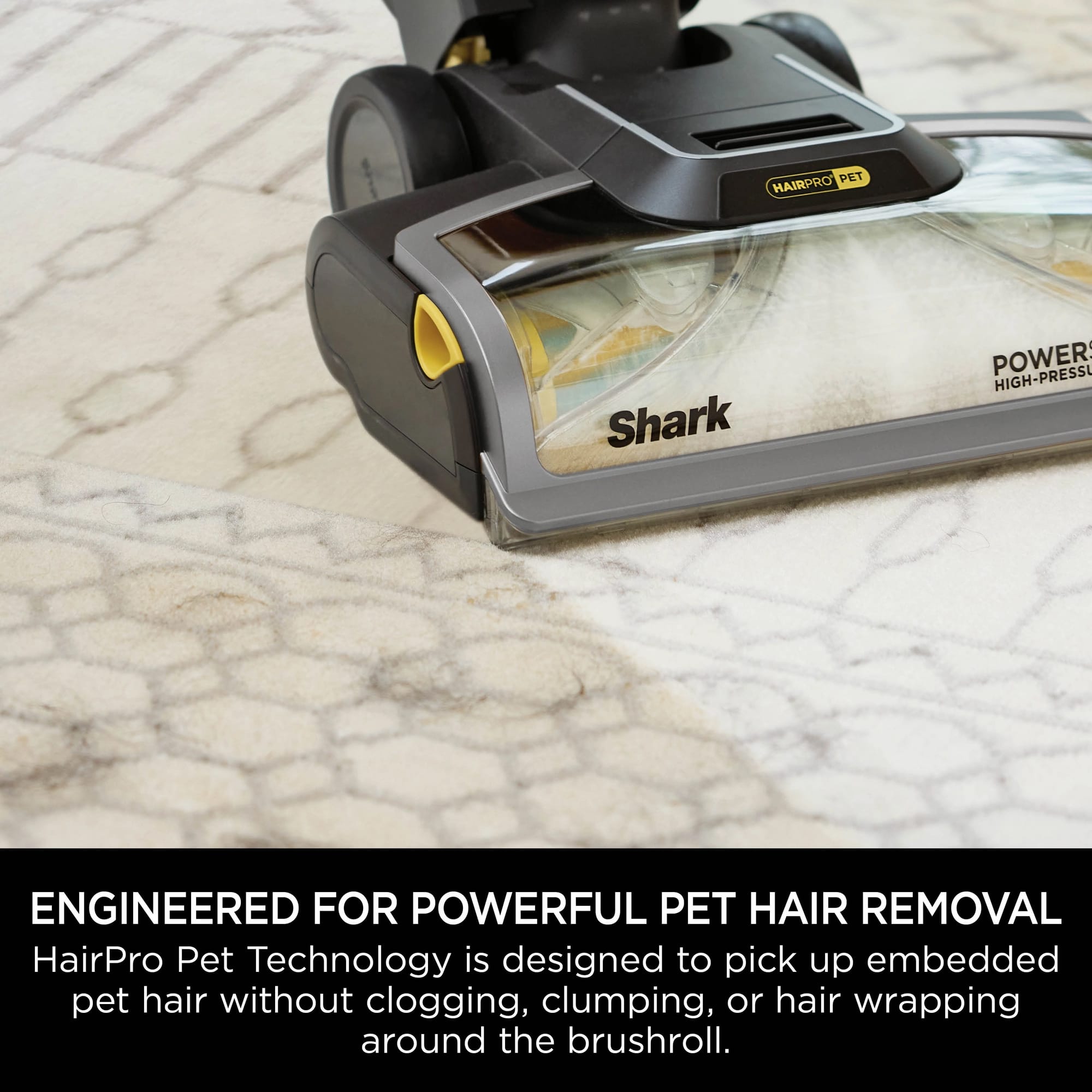 Shark CarpetXpert Carpet Cleaner with Built-In Stain Striker - Charcoal & Fuchsia - EX300UK Shark CarpetXpert Carpet Cleaner with Built-In Stain Striker - Charcoal & Fuchsia - EX300UK