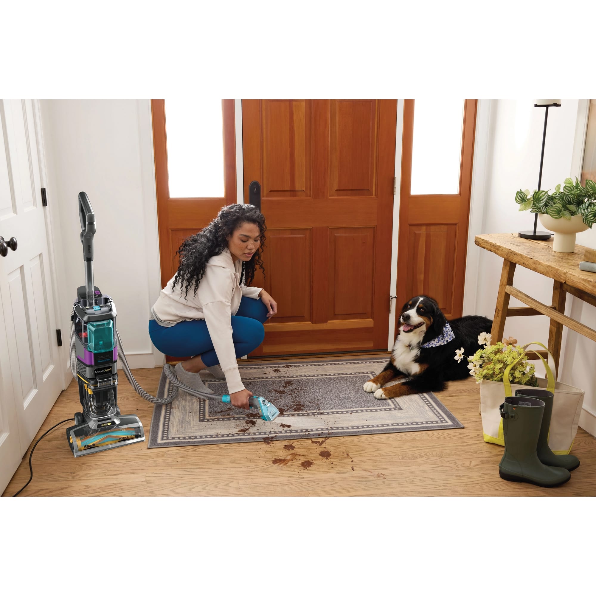 Shark CarpetXpert Carpet Cleaner with Built-In Stain Striker - Charcoal & Fuchsia - EX300UK Shark CarpetXpert Carpet Cleaner with Built-In Stain Striker - Charcoal & Fuchsia - EX300UK